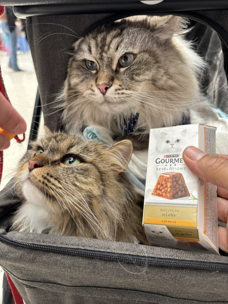 Purina Gourmet
